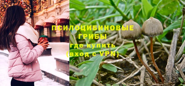 МДПВ Ладушкин