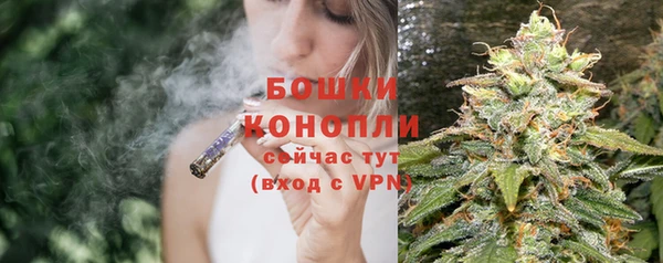 apvp Лагань